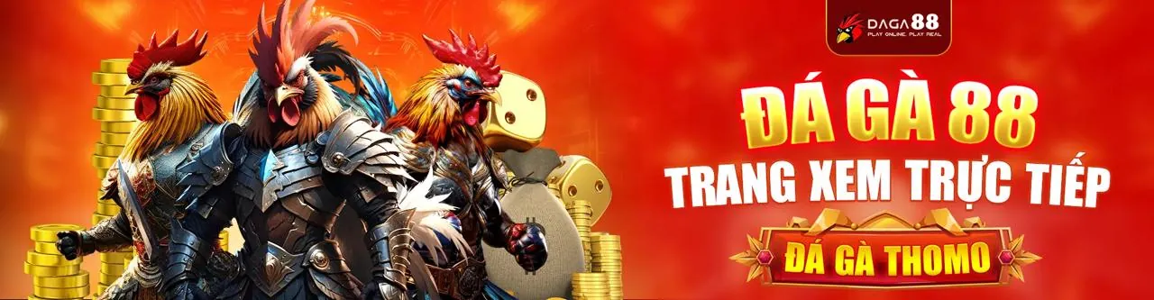 Sân đá gà trực tuyến do666 sôi động